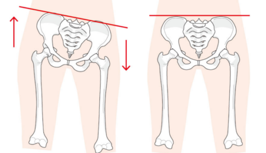 骨盤を立てる